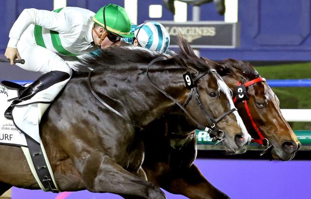 【安田記念】ソウルラッシュの石川達絵オーナーインタビュー　進化を続ける7歳馬を語った