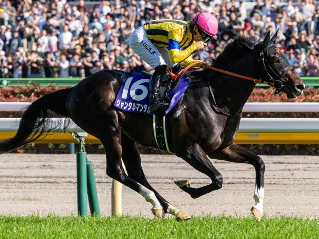 【安田記念】川田将雅騎手が現役単独トップの4勝目へ GI・2勝馬のジャンタルマンタルで参戦