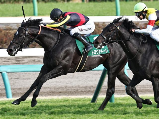 【安田記念】レイデオロ産駒がGI初制覇なるか ダービー卿CT覇者のトロヴァトーレが参戦