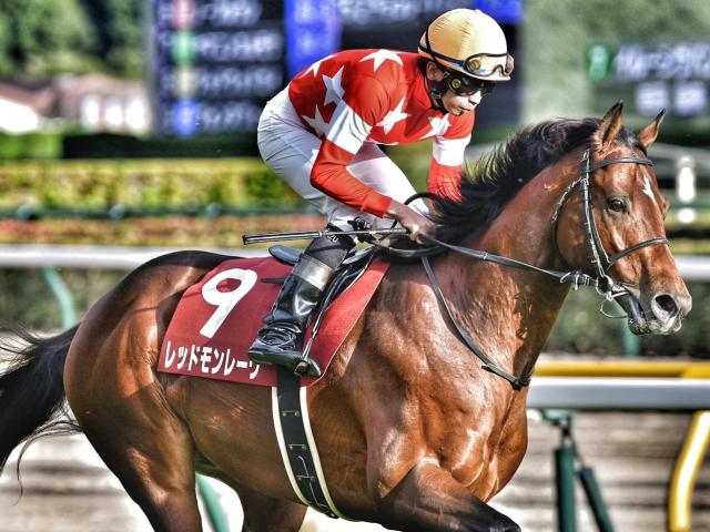 【安田記念】エアグルーヴ一族初のマイルGI制覇へ レッドモンレーヴが参戦