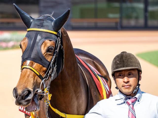 【安田記念】トルコの父に9年ぶりのGIタイトルを届けるか 重賞連勝中のロングランが参戦