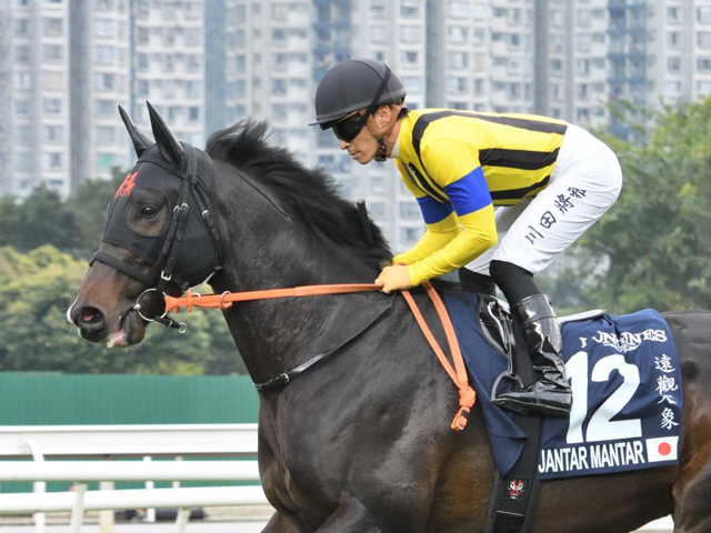 【安田記念展望】府中のマイル適性でジャンタルマンタルがGI・3勝目を狙う