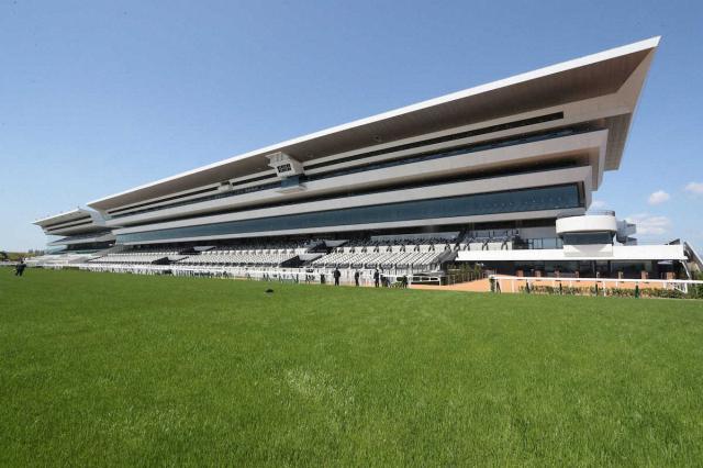 京都競馬場で第38期「竜王戦」の対局実施　JRA競馬場で初の将棋公式戦　11月12、13日