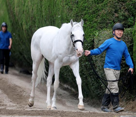 【注目馬動向】競走中止のハヤヤッコは厩舎で静養　国枝調教師「今後は検査して決める」