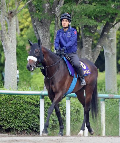 【安田記念】シックスペンスは元気に登坂　国枝調教師「爪も問題ない」大阪杯7着からの巻き返しへ順調