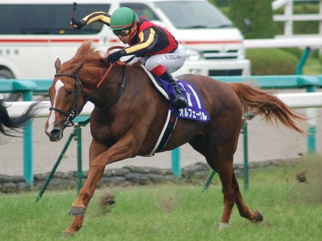 過去にはオルフェーヴルやゴールドシップなど 前年菊花賞馬の宝塚記念成績