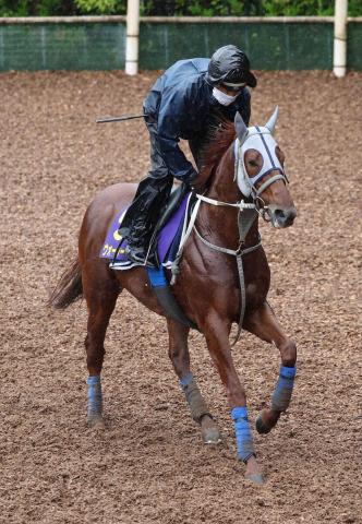 【安田記念】ウォーターリヒト　転厩初戦も順調　陣営「“走る馬だな”と感じる」