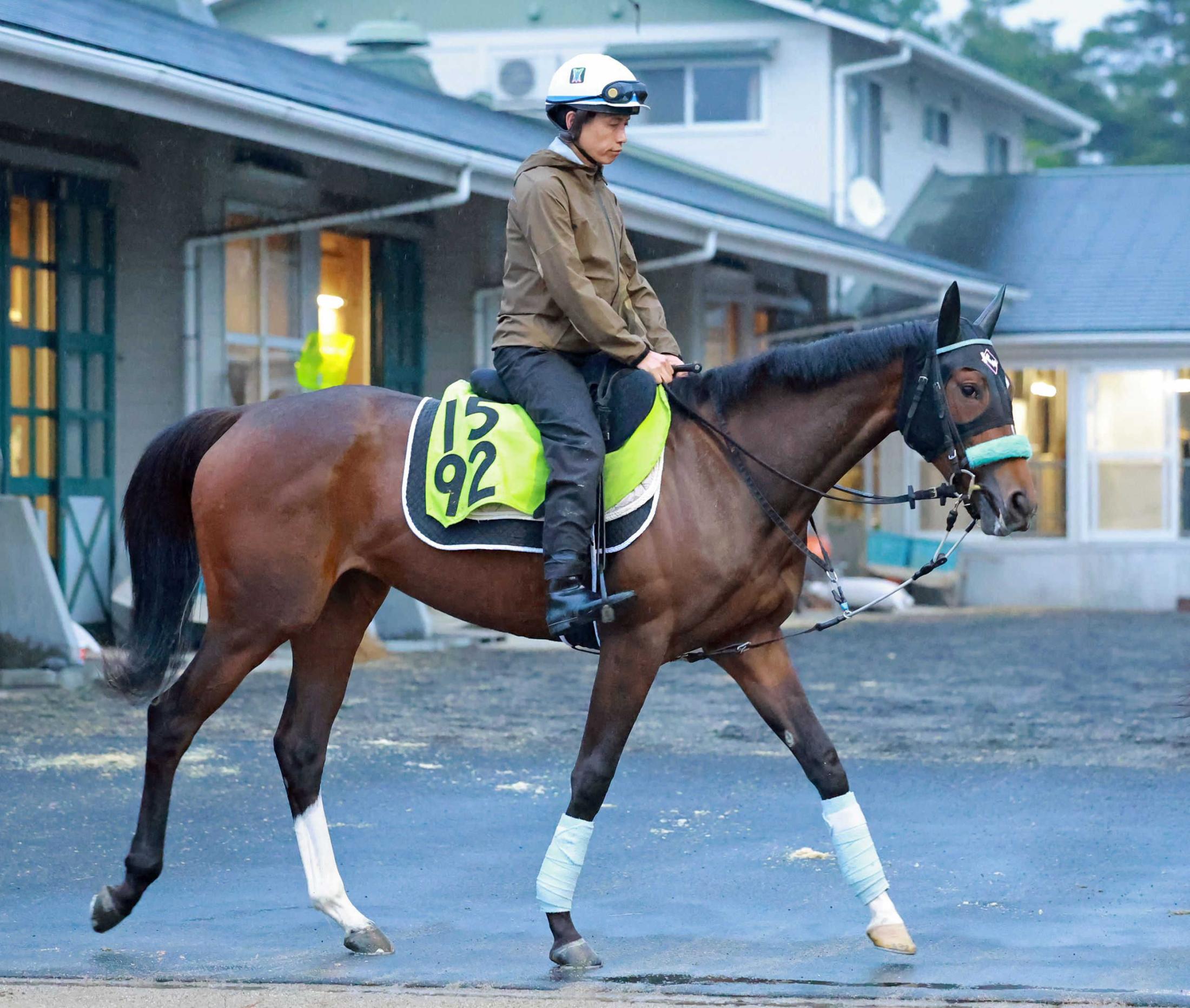 【新馬戦】アンディムジーク　世代一番星狙う　１週前動き鋭く　渡辺師「フットワークがすごくいい」