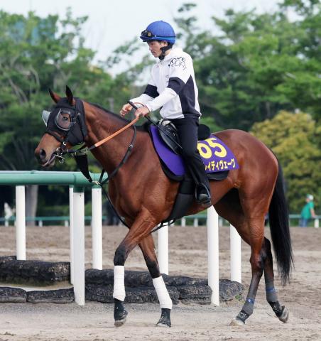 【安田記念】牝馬が7年連続連対中　今年唯一出走のブレイディヴェーグは外せない