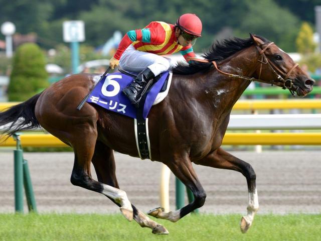 モーリスのGI初制覇から10年 今年は安田記念史上4組目となる親子制覇へ
