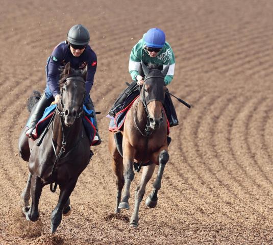 【宝塚記念・1週前】骨折明けのレガレイラは抜群の動きで不安なし　戸崎圭太騎手「久々を感じさせない動き」