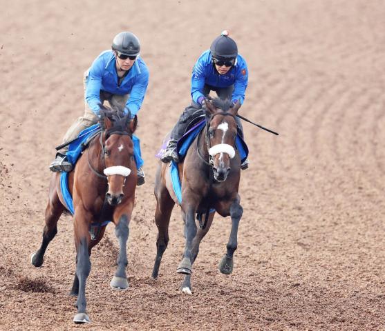 【安田記念】シックスペンスの動きに国枝調教師も大満足「かなり良かった」ラスト1ハロンは馬なりで11秒0