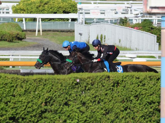 ジャスティンパレスなど、宝塚記念1週前追い切り速報/栗東トレセンニュース