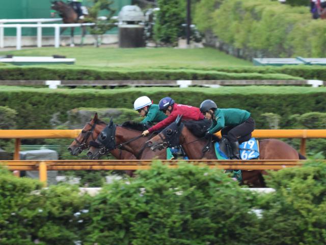 ベラジオオペラ、宝塚記念1週前追い切り速報/栗東トレセンニュース