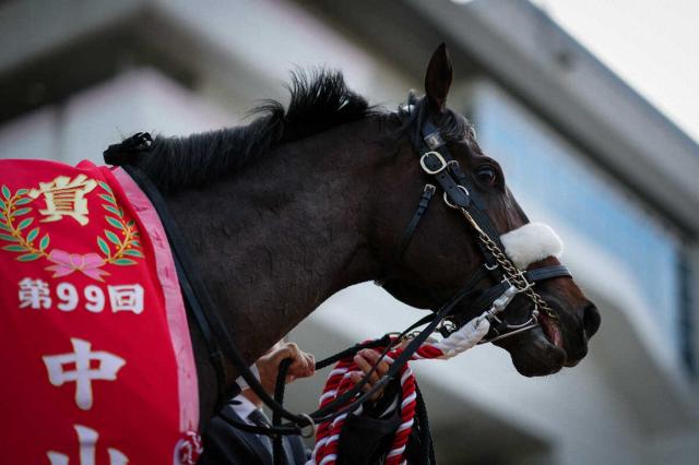 シックスペンスが8・17仏ジャックルマロワ賞登録へ　今週安田記念でG1獲りを期す