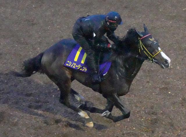 京成杯覇者ニシノエージェントが右第1指骨剥離骨折…3カ月以上の休養を要する見込み　先週ダービー16着