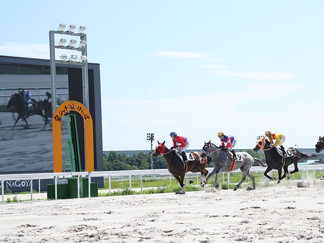 【名古屋・東海優駿結果】サンヨウテイオウが3馬身差圧勝！重賞初制覇を飾る