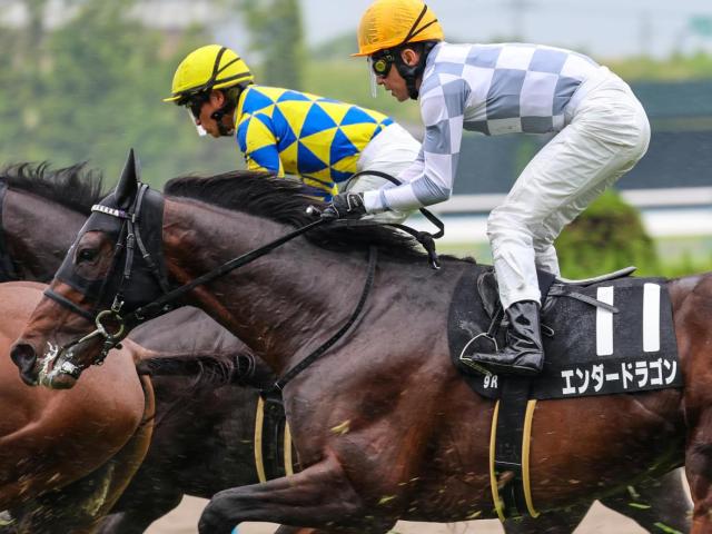 半兄はドウデュース 芝2戦目でエンダードラゴンが2勝目なるか
