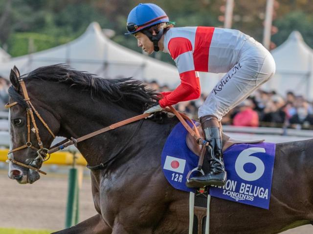 堀宣行厩舎の4億円馬 ダノンヒストリーがレーン騎手でデビュー