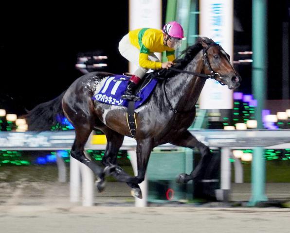 ベアバッキューンが無傷の5連勝で若潮スプリント優勝　船橋競馬