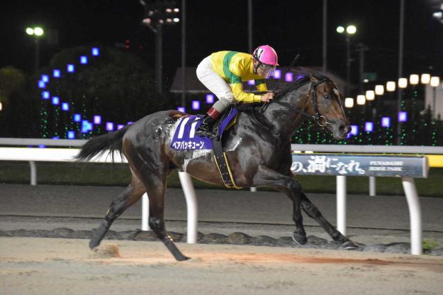 【船橋競馬　若潮スプリント】1番人気ベアバッキューンが無傷5連勝　3馬身突き放し重賞3連勝