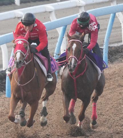 【安田記念】ウインマーベル　Wで動き一変!!　深山師「筋肉の張りが出てきた」