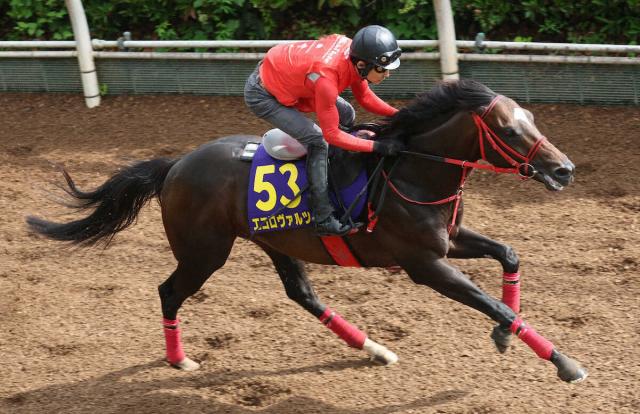 【安田記念】エコロヴァルツ　坂路単走4F53秒7　牧浦師も太鼓判「東京マイルは合うと思う」