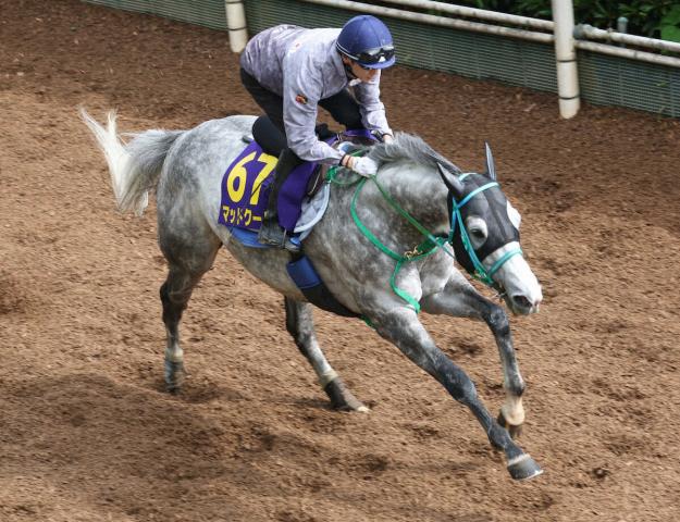 【安田記念】マッドクール　折り合いついた4F53秒5　池添師笑顔「楽に動けていた」