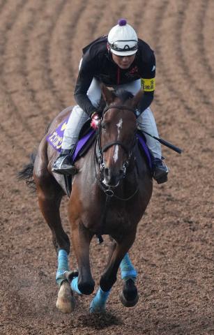 【安田記念】オニャンコポン　馬なり1F12秒0　小島師「状態は悪くない」