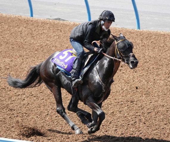 【安田記念】サクラトゥジュール　力強い脚さばき　馬なりのままラスト1F11秒9