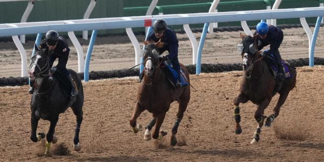 【宝塚記念1週前追い】アーバンシック　ギア変化を絶賛　石神深「さすがG1を勝つ馬だなと」