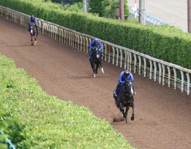 【安田記念】前年マイルCS優勝馬は好走実績　2年連続2着で3着内率52・2%