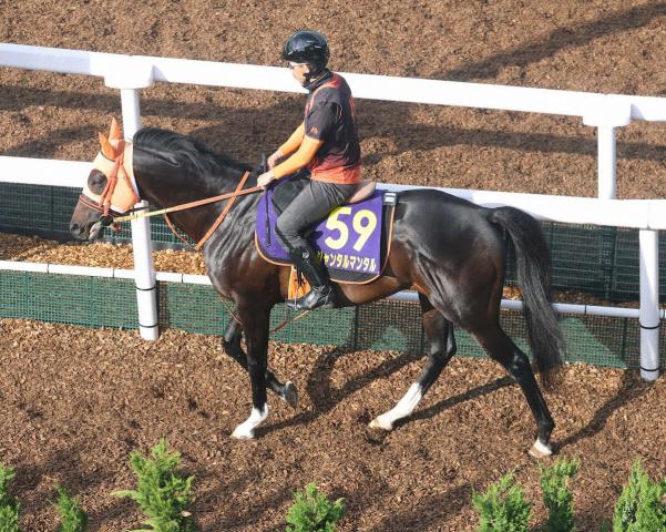 【安田記念】ジャンタルマンタル　半年ぶり出走も舞台設定は抜群