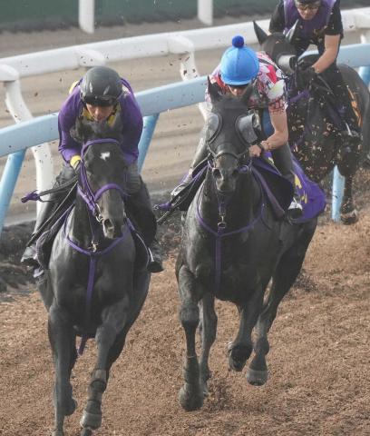 【安田記念】トロヴァトーレ　余裕の馬なり併入　1週前より好感触の横山武「ズブさ解消されてきた」