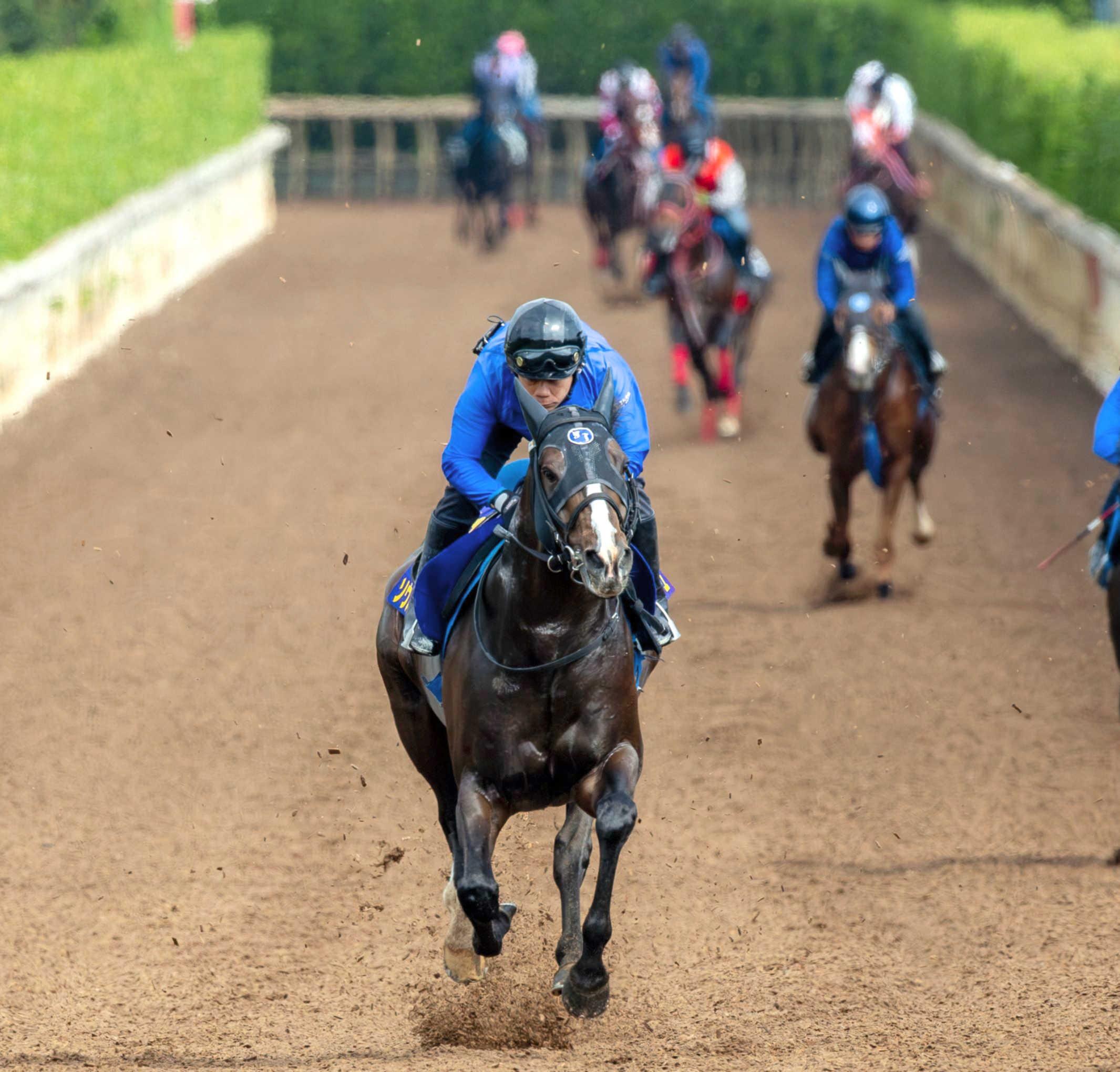 【安田記念】ソウルラッシュ　文句なしの迫力満点走　７歳今がピーク！ドバイ激走も反動なし　秋春マイルＧ１制覇へ　