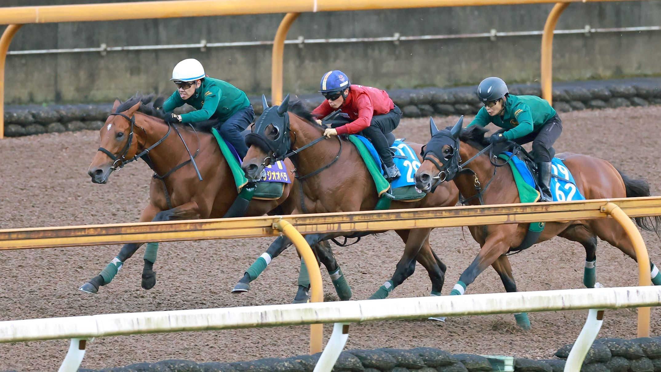 【宝塚記念】ベラジオオペラ　仕上がり順調　上村師も好感触「馬場も傷んでいないし、期待したい」得意の仁川でＧ１・３勝目へ