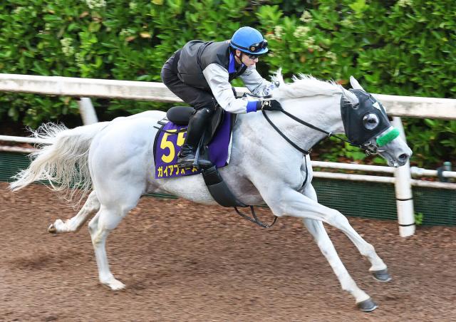 【安田記念】芦毛の6歳馬が“秘密兵器”初装着で好時計　初コンビ吉村誠之助騎手「とても良かった」