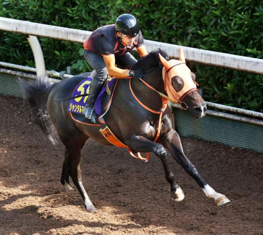 【安田記念】マイルG1・2勝の実力馬反撃へ　指揮官気合「負けた後の戦いなので、馬のためにも凡走はできない。勝つことが至上命令」