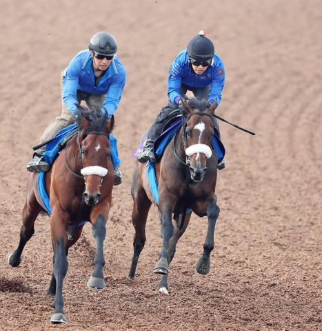 【安田記念】中山記念優勝馬がラストに抜群の伸び　01年以来の制覇へ国枝調教師「かなり良かった」