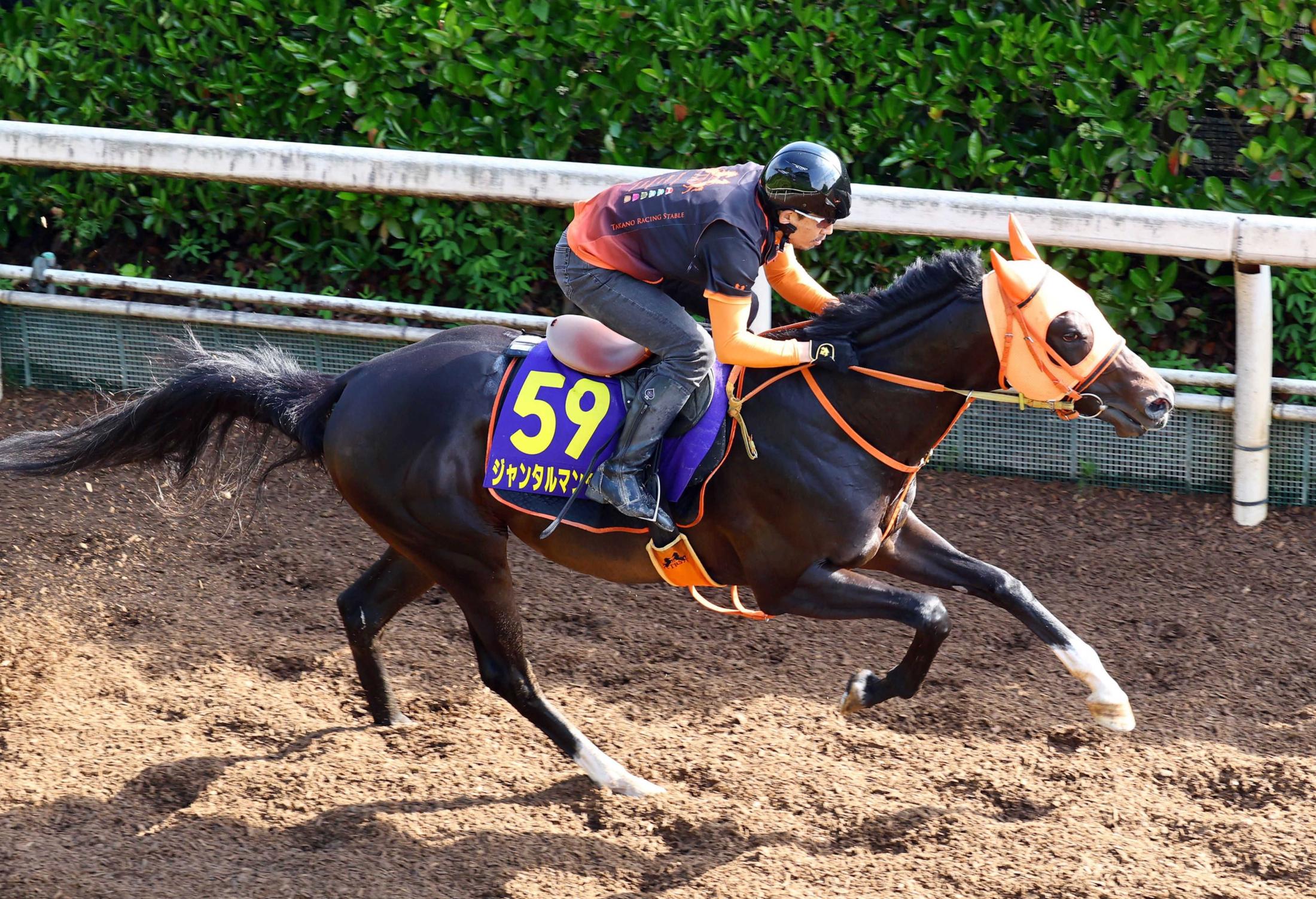 【安田記念】ジャンタルマンタル　豪快走で楽々加速ラップ刻む　高野師も動きを絶賛「また一段と良くなりました」