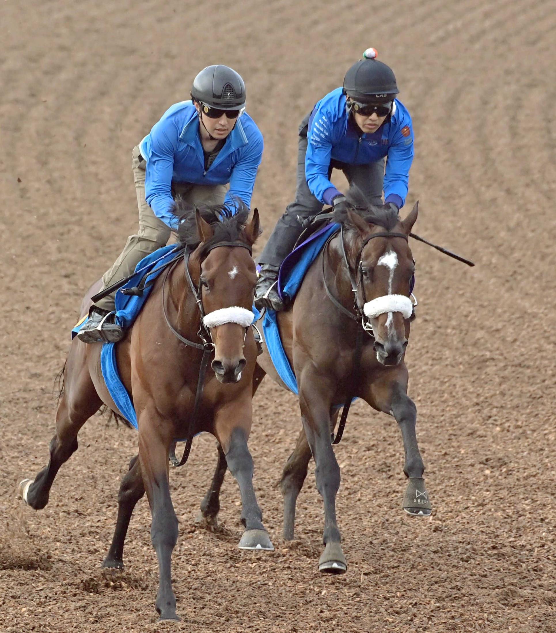 【安田記念】シックスペンス鋭伸　馬なりで半馬身先着　国枝師はコンビ４戦４勝の名手ルメールを信頼