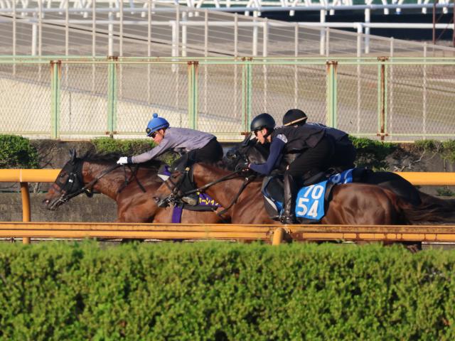 ヨーホーレイク、宝塚記念1週前追い切り速報/栗東トレセンニュース