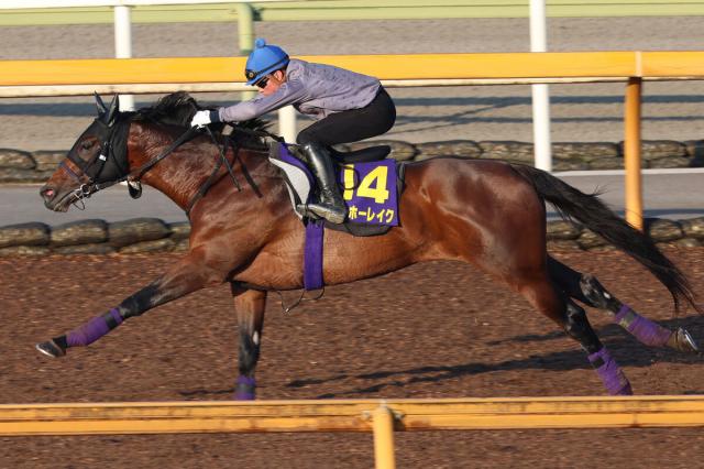 【宝塚記念1週前】ヨーホーレイク攻めた!　初の6ハロン80秒切り　岩田望来騎手「しまいまでしっかり伸びていた」