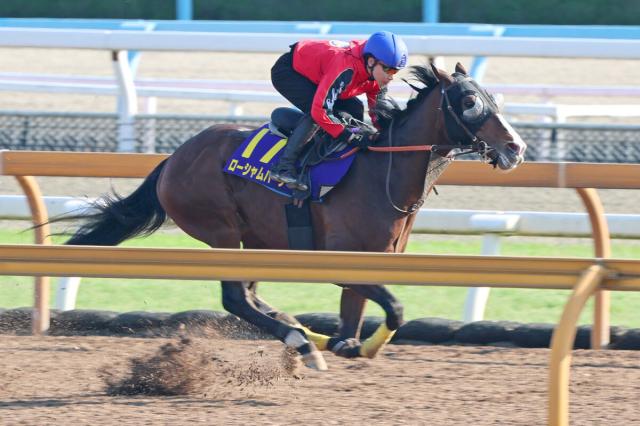【宝塚記念1週前】栗東滞在ローシャムパークが6ハロン75秒2の猛時計　池添謙一騎手「思ったより我慢利いた」