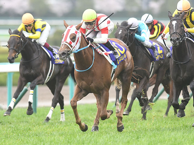 母は桜花賞馬のレーヌミノル テンユウが注目のデビュー戦だ