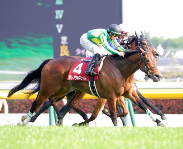 【POG】血統馬サトノワーグナーが6・15東京デビューへ　斎藤誠調教師「血統的にもそそられる」