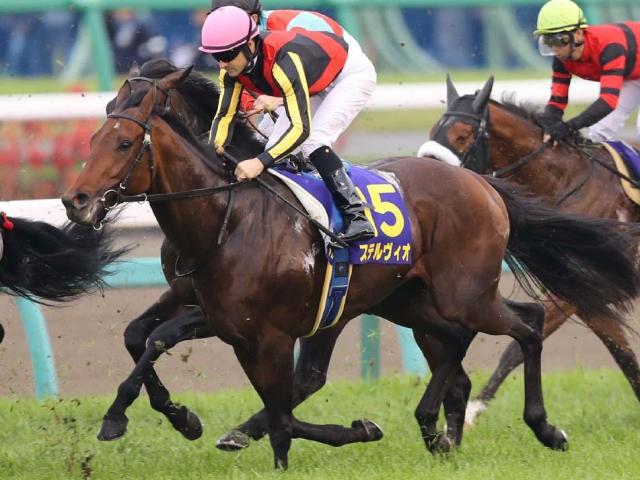 半兄はマイルCS覇者のステルヴィオ カルロットが武豊騎手で初陣だ