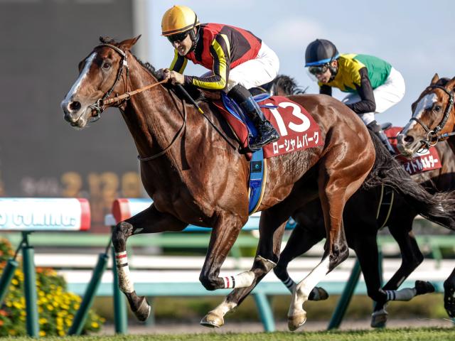 【有力馬動向】宝塚記念へローシャムパークが栗東で猛時計 一変可能な雰囲気あり/馬三郎のつぶやき
