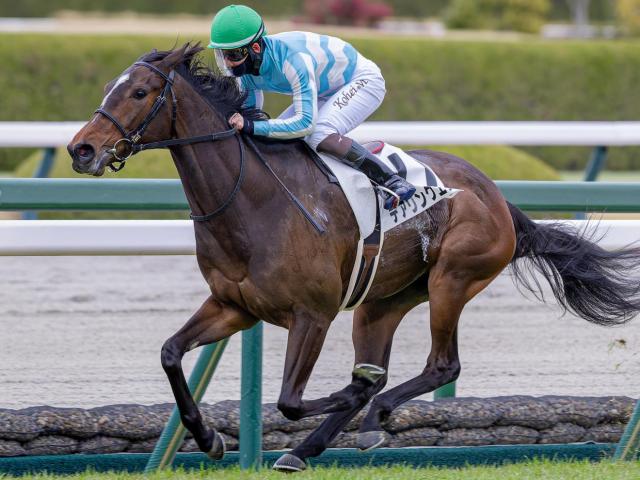 全姉は三冠牝馬のデアリングタクト デアリングエアが連勝狙う