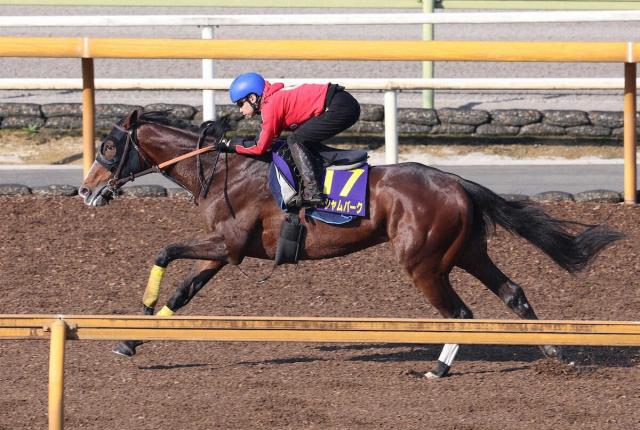【宝塚記念1週前追い】ローシャムパーク　圧巻の走り　CWコース6F75秒2